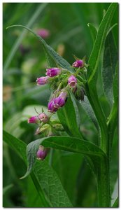 treff1.jpg treff1.jpg