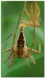 treff3.jpg treff3.jpg