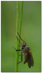 treff4.jpg treff4.jpg