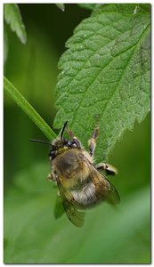 treff5.jpg treff5.jpg