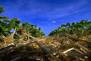 comp_SDIM4355_1_G1.jpg comp_SDIM4355_1_G1.jpg