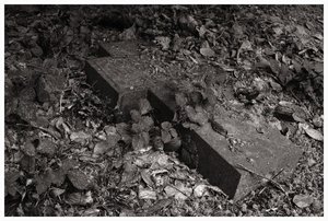 daskreuz_rt_gp_kl.jpg daskreuz_rt_gp_kl.jpg