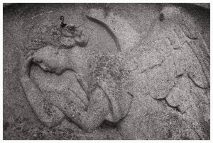 engel_rt_gp_kl.jpg engel_rt_gp_kl.jpg