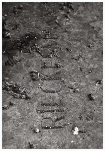 schriftzug_rt_gp_kl.jpg schriftzug_rt_gp_kl.jpg