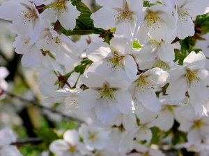 Sassendorf_2_Bildgröße ändern.JPG