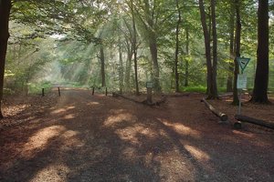 forum-SDIM0222.jpg forum-SDIM0222.jpg