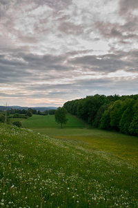 th_SDIM0310.jpg th_SDIM0310.jpg