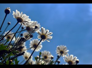 comp_SDIM4371_1_G1_ir1.jpg comp_SDIM4371_1_G1_ir1.jpg