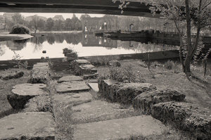 SDIM3144acros cham.jpg