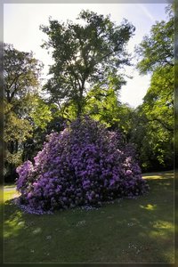 Hügelpark-SD10 - IMG10804.jpg Hügelpark-SD10 - IMG10804.jpg