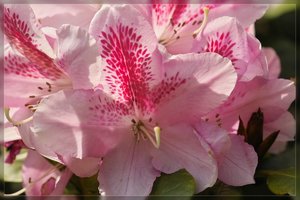 Hügelpark-SD10 - IMG06981.jpg Hügelpark-SD10 - IMG06981.jpg