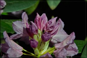Hügelpark-SD15 - SDIM5071.jpg Hügelpark-SD15 - SDIM5071.jpg