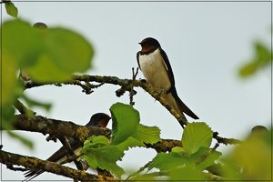 DSC06601_1.JPG DSC06601_1.JPG