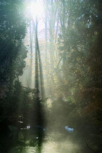 1_SDIM4244s.jpg 1_SDIM4244s.jpg