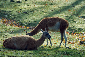 1_SDIM4316s.jpg 1_SDIM4316s.jpg