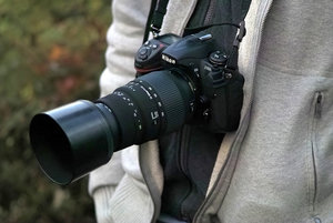 1_SDIM4381s.jpg 1_SDIM4381s.jpg