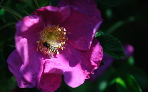 p_DSC_3308.jpg p_DSC_3308.jpg