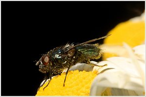 DSC06857.JPG DSC06857.JPG