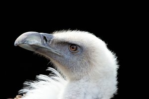 forum-ffm-falkenhof-DSC02247.jpg forum-ffm-falkenhof-DSC02247.jpg