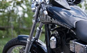 P1030935-2.jpg P1030935-2.jpg