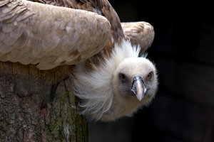 P1030953.jpg P1030953.jpg