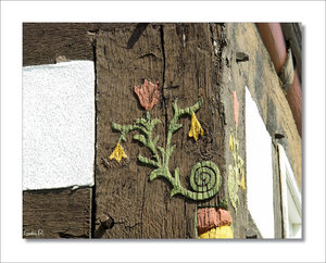 SDIM3848-a.jpg SDIM3848-a.jpg