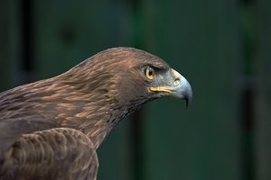 comp_SDIM4614_1_G1 Kopie.jpg