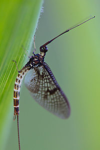 unbenannt-1258-2.jpg unbenannt-1258-2.jpg