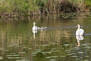 comp_unbenannt-1240-2.jpg comp_unbenannt-1240-2.jpg