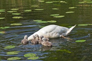 comp_unbenannt-1245-2.jpg comp_unbenannt-1245-2.jpg