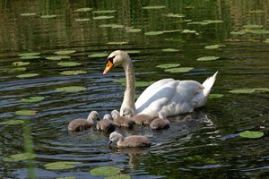 comp_unbenannt-1247-2.jpg comp_unbenannt-1247-2.jpg