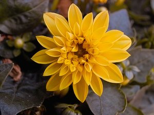 PIMG0002-2.jpg PIMG0002-2.jpg