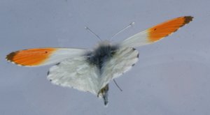 comp_keine Sensorflecken.jpg