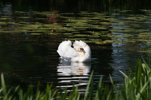 comp_DSC00838.jpg comp_DSC00838.jpg