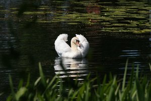 comp_DSC00840.jpg comp_DSC00840.jpg