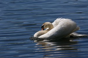 comp_DSC00841.jpg comp_DSC00841.jpg