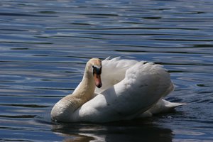 comp_DSC00844.jpg comp_DSC00844.jpg