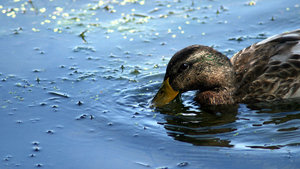 IMG_9770.JPG IMG_9770.JPG