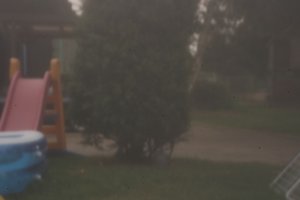 compIMG_6636.jpg compIMG_6636.jpg