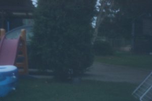 compIMG_6651.jpg compIMG_6651.jpg