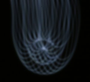 dunkel.jpg dunkel.jpg