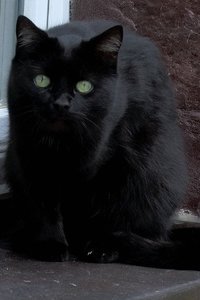 sony-crop-DSC02731.jpg sony-crop-DSC02731.jpg