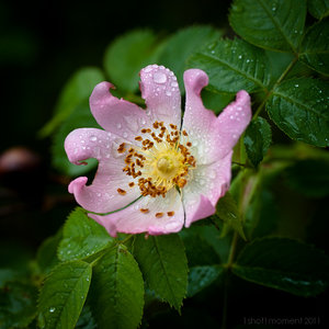 1shot1moment@bilderforum (1 von 1)-5.jpg 1shot1moment@bilderforum (1 von 1)-5.jpg