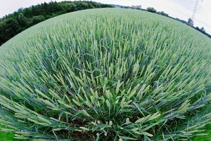 p_DSC_0990.jpg p_DSC_0990.jpg