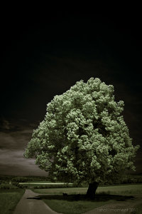 1shot1moment@bilderforum (1 von 1)-9.jpg