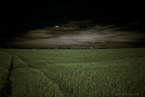 1shot1moment@bilderforum (1 von 1)-10.jpg