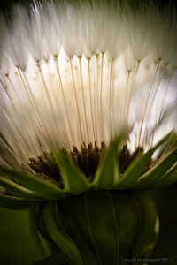 1shot1moment@bilderforum (1 von 1)-11.jpg