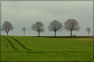 Landschaft-SD14 - SDIM4488.jpg