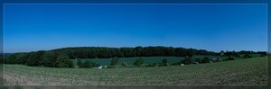 Landschaft-Pano SD15 - Oefter Wald 1.jpg