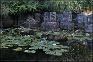 Blumen-SD10 - IMG05173.jpg